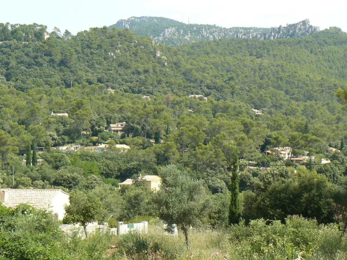 La Maison D'En Haut En Provence La Roquebrussanne Bed & Breakfast